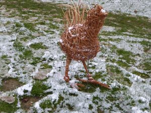 pic of willow chicken