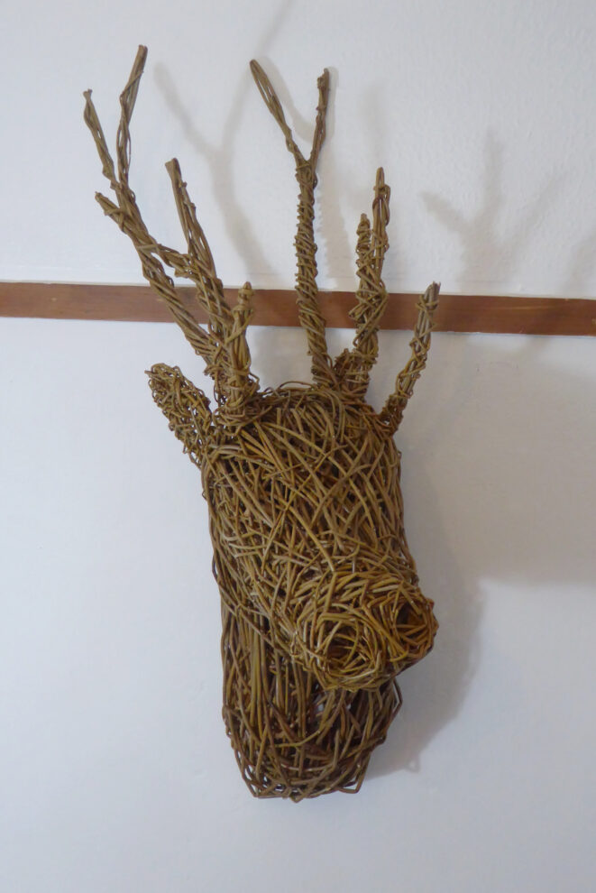 large willow stag head made in brown willow shown on white wall